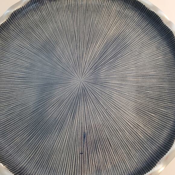 Simply Designz Enamel Cake Plate  Blue Aluminum Enamel Round Fluted Platter 11" - Picture 2 of 9